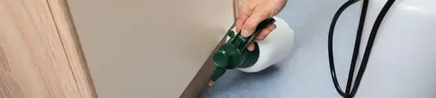 Bed bug exterminator treating baseboards and cracks with targeted spray in Baltimore, MD