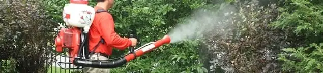 Mosquito control technician fogging shrubs and landscaping for mosquito treatment in Baltimore, MD