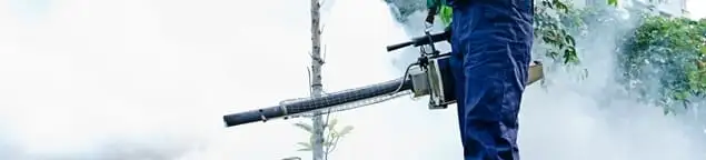 Pest control technician fogging an outdoor area for insect control in Baltimore, MD