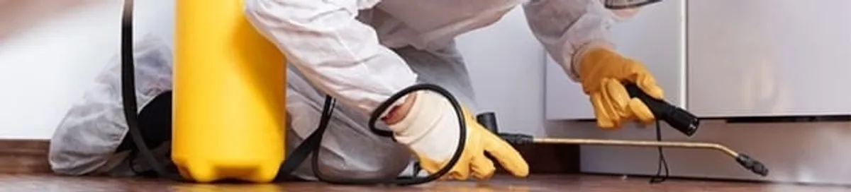 Roach exterminator treating cracks and crevices along kitchen baseboards in Baltimore, MD