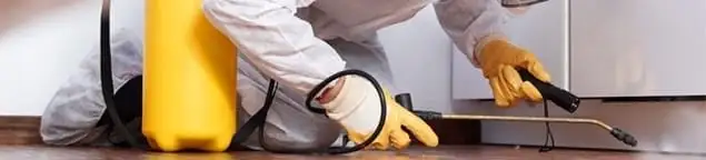 Roach exterminator treating cracks and crevices along kitchen baseboards in Baltimore, MD