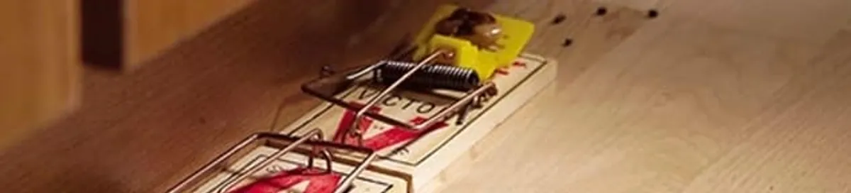 Rodent trap set indoors for rodent control and prevention in Baltimore, MD