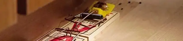 Rodent trap set indoors for rodent control and prevention in Baltimore, MD
